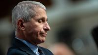 Fauci contempt vote reignites COVID accountability battle six years later