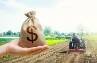 Development banks pour BILLIONS into factory farms, leaving smallholders behind