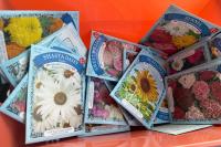 Dollar Tree's 1-cent seeds are a frugal gardening hit, with some reporting 80% germination