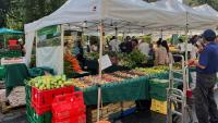 Cyclosporiasis cases keep shoppers and grocers on edge in Michigan