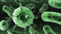 AI Designed a Virus Genome No One Had Seen Before. Researchers Made It Work