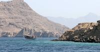Vessel hit by projectile near Oman, crew safe, no environmental damage