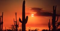 Extreme heat is reshaping people's lives in Arizona and beyond, poll says