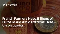 French Farmers Need Billions of Euros in Aid Amid Extreme Heat – Union Leader