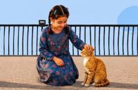 Abu Dhabi highlights TNR efforts on International Cat Day