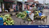 Bagerhat farmers turn to green coconuts for higher profits