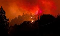 Thousands evacuated as huge wildfire spreads in Canada