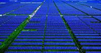 Texas Avoids Blackout by the Grace of Solar Power