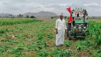 Karnataka: Farmer Destroys 5-Acre Maize Crop After Monsoon Rains Fail