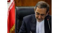 Iran's Velayati hails armed forces' resilience, says foreign forces must leave