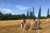 Saskatchewan Open Farm Days connects consumers with local food, producers