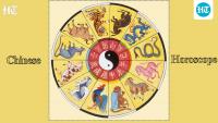 Chinese Horoscope, August 9, 2026: Thoughtful decisions today will create stronger outcomes tomorrow