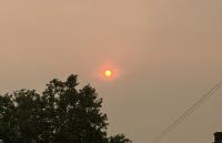 Penticton cancels farmers and community markets due to wildfire (Penticton)