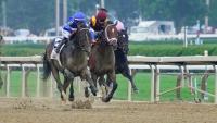 Kentucky Derby champ has a betting pattern that's impossible to ignore