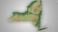 New York 2026-27 hunting and trapping licenses now on sale through DEC