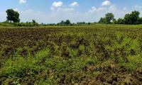 Coimbatore farmers allege casting unit pollution damaging crops, groundwater