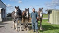 'Nothing better': A farmer’s life with 10 working Clydesdales