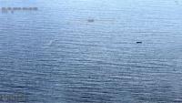 Search expands for three missing after supply boat sinks