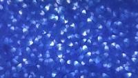 Barmag And Object Carpet Validate BICO BCF Technology For The Next Generation Of Carpet...
