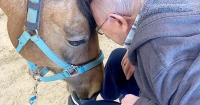 Strongwater Farm to celebrate 25 years of healing at anniversary gala