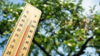UK bracing for another heatwave with highs of 36C next week