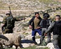 Settlers storm Beit Ur al-Tahta, Jaljulia, others attack Abu Falah village in Ramallah