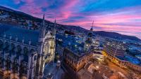 Dunedin winter guide: Unique tours, cultural walks and cosy adventures
