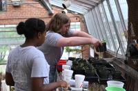 GCSU grant seeks to grow rural business