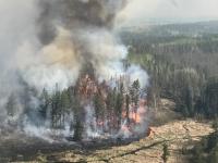 Canadian District Declares State of Emergency as Bald Range Wildfire Rages Out of Control