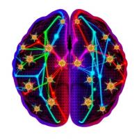 Scientists map signaling networks driving disseminated glioblastoma cells in living brains