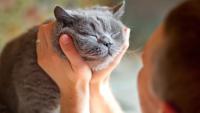 Fabulous felines: Celebrating the beloved cats of the 'Post' for International Cat Day
