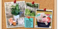 Potted Plants An A-plus Class Project for the New School Year