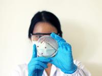 Researchers work to predict Vibrio in the Gulf