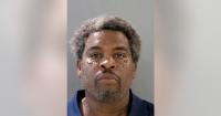 Former Detroit firefighter charged with arson, stealing puppies and more