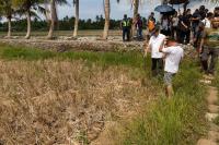UN warns of rising food prices due to climate change and energy price hikes