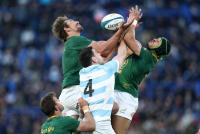 Rusty Springboks dig deep against Argentina to provide sobering warm up for All Blacks