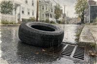 Tire Chemical Threatens Rhode Island Brook Trout