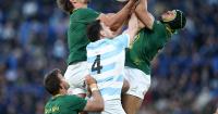Springboks win after surviving late Argentina surge