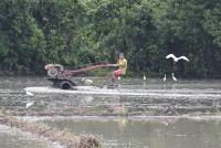 Death toll from ‘habagat,’ storms rises to 7