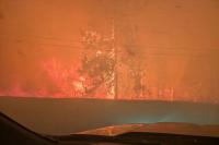 World Reuters British Columbia declares state of emergency as more than 20,000 flee wildfires