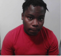 ICE nabs illegal Haitian national facing sex crime and extortion charges