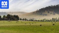 Historic farm's sale to carbon credit company raises community ire