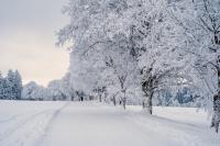 Farmers’ Almanac Winter 2026 Forecast: Northeast Travelers Face the Riskiest Season to Book
