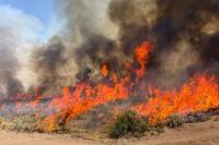 Utah Faces Third Massive Wildfire of Year: ‘Not a Record We’re Proud Of’