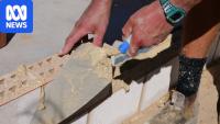 Canberra apprenticeships hit a brick wall in the middle of construction boom