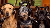 Warner Bros. Uses AI Dog Podcast to Promote ‘The End of Oak Street’: ‘Ewan McGregor Was Excellent With Treats’