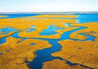 Rising seas are drowning 84% of America’s coastal wetlands