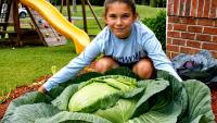 What happened next? How Katie Stagliano's 40-pound cabbage grew into a nationwide movement