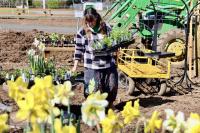 Knappa-Svensen farm expands to more tasty offerings: New stand on Highway 30 provides convenient access