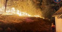 Seattle Humane supporting animal rescues in Spokane amid wildfires